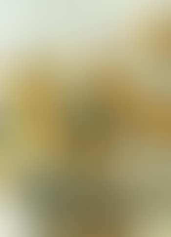 Gelbe Bluten in Vase (preview)
