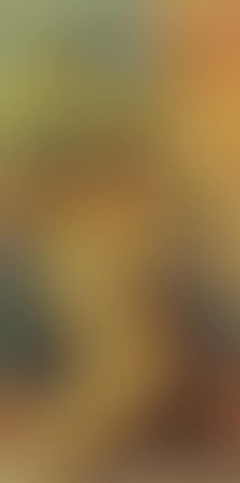 Schlafende (preview)