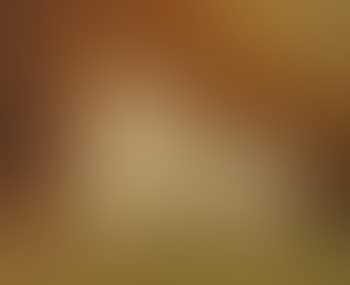 Portrait of a poodle (preview)