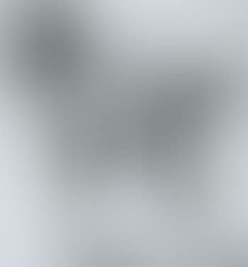 Study of a racehorse (preview)