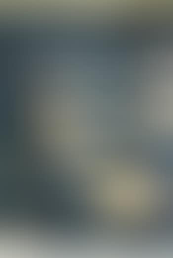 Untitled (preview)