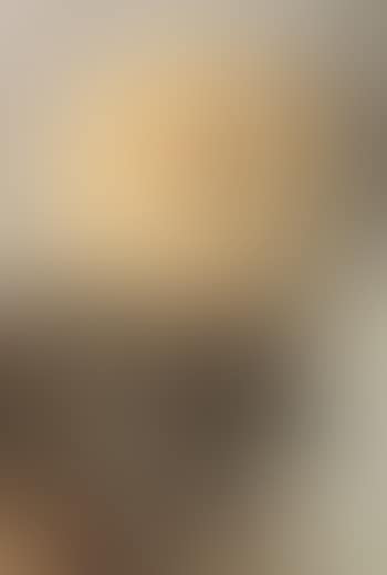 Chrysanthemum (preview)
