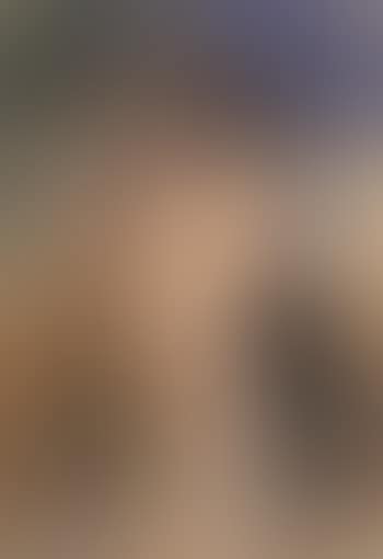 Italian woman (preview)