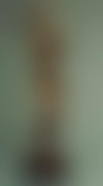 Woman combing her hair (preview)