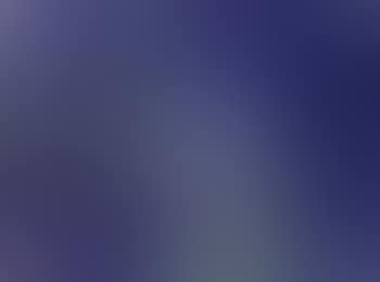 Oiseaux bleus dans une foret bleue (preview)