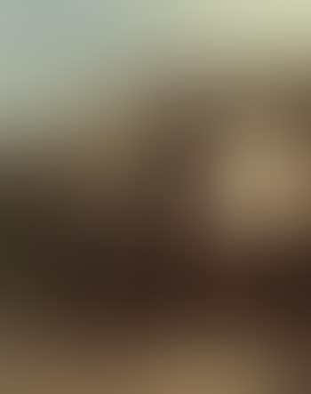 Vue a Cardin (preview)