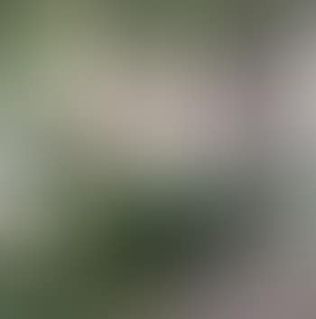 Fitzroy Square (preview)