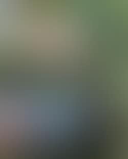 Fleurs roses dans une coupe verte (preview)