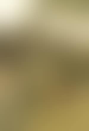 Fallow deer (preview)