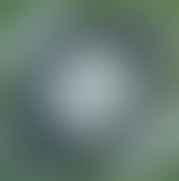 Edyetem (preview)