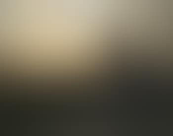 Woman in field (preview)