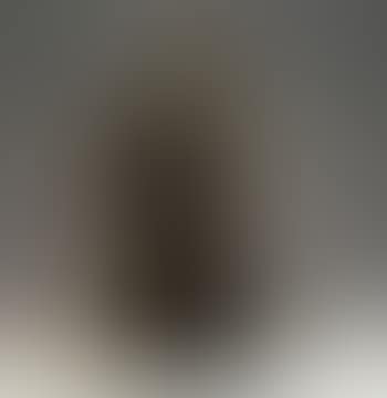 Femme assise au luth (preview)