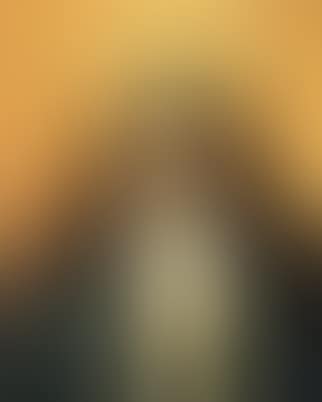 The Immaculate Conception (preview)