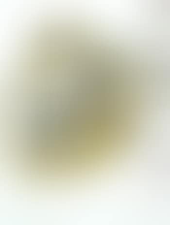Still life (preview)