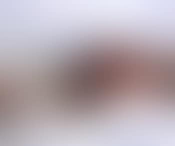 Painting 28.2.77 (preview)