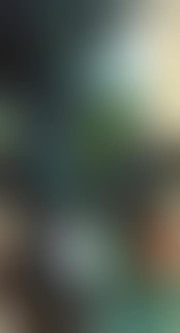 Splashed colour landscape (preview)