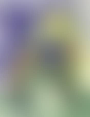 Seated woman (preview)