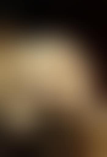 Cat stalking butterfly (preview)