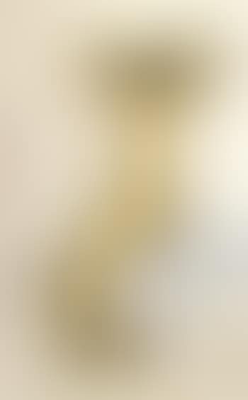 The back view - nude (preview)