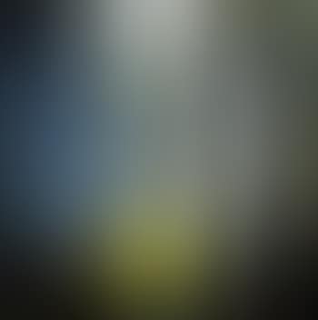 Still life (preview)