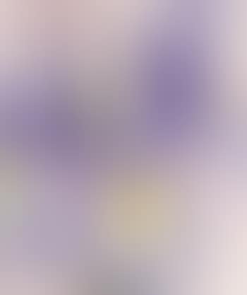 Lavender iris (preview)