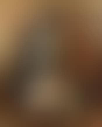 Picapedrera (preview)