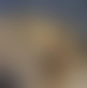 Landscape (preview)