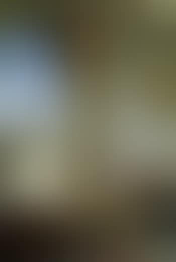 Femmes de harem au Maroc (preview)