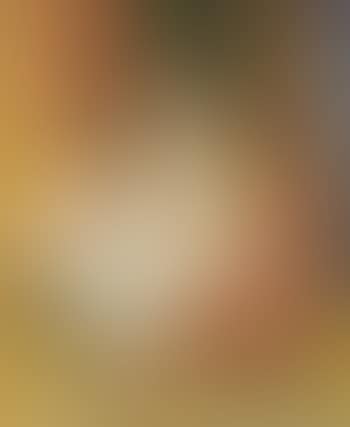 Nu assis ou le repos - seated nude (preview)