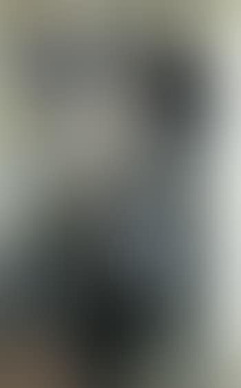 La blanchisseuse (preview)