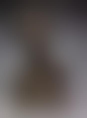 Buste ancien (preview)