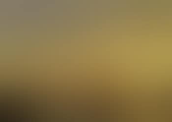 Dusk on the Golden Horn with Blue Mosque (preview)