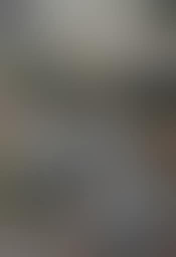 Interspersed (preview)