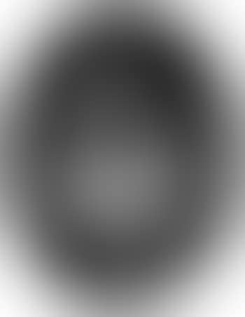 Still life with flowers in vase (preview)