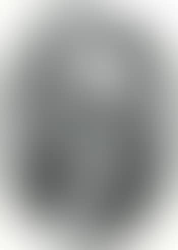 Woman's head (preview)