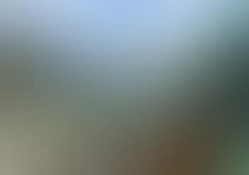 Landscape (preview)