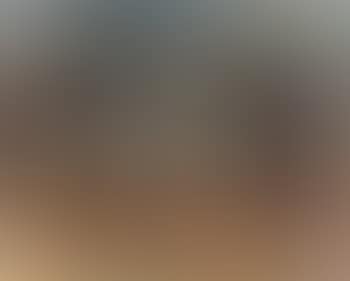 Oliviers a St Remy (preview)