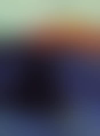 Sonnenuntergang am Gardasee (preview)