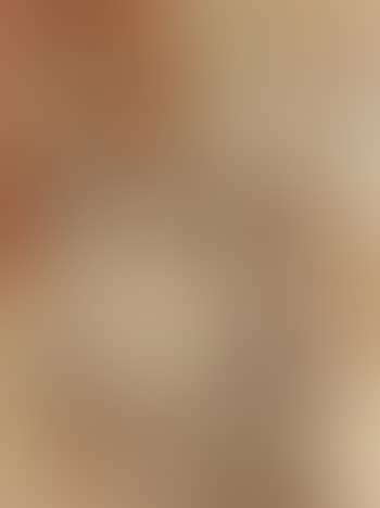 Plauderei (preview)