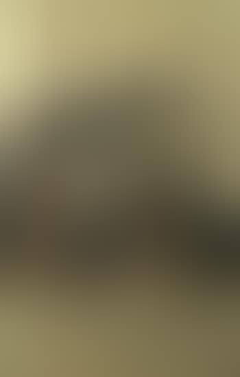 Epping Forest, Walthamstow (preview)