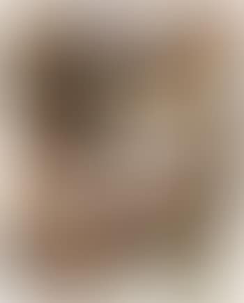 Head of E O W II (preview)
