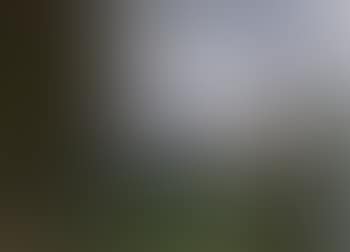 Bagatelle au Bois de Boulogne (preview)