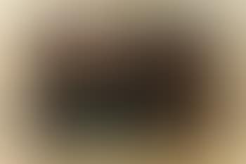 Composition (preview)