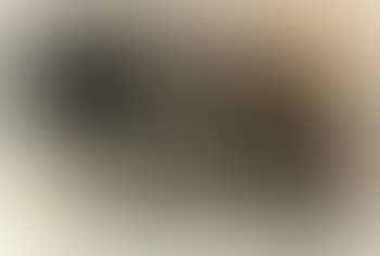 Composition (preview)