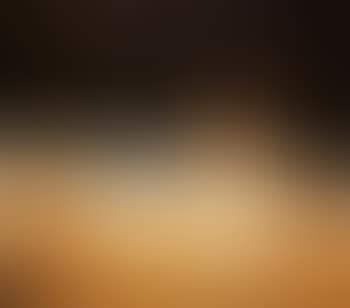 Ochre still life (preview)