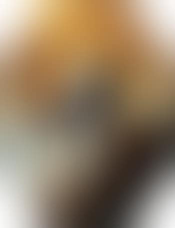 The Immaculate Conception (preview)