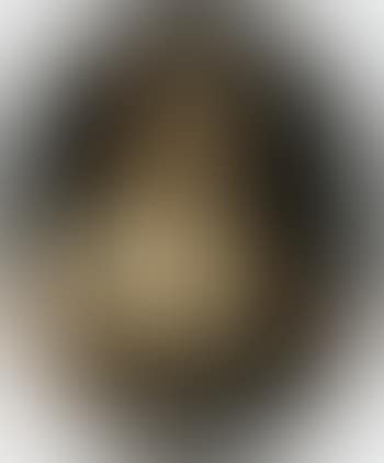 Courtesan holding dog (preview)