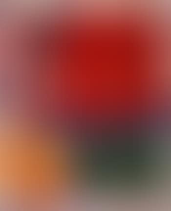Untitled (preview)