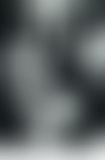 Le modele (preview)