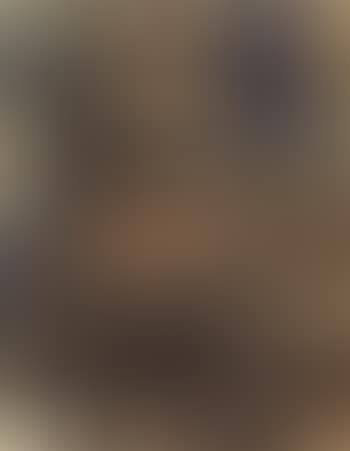 Prophet (preview)